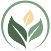 cropped-SYH-favicon.png